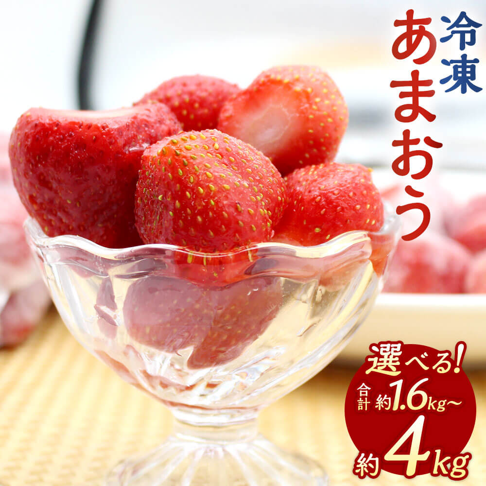 冷凍フルーツ イチゴ あまおう 国産 計10kg 1kg x10袋 前田家 無添加