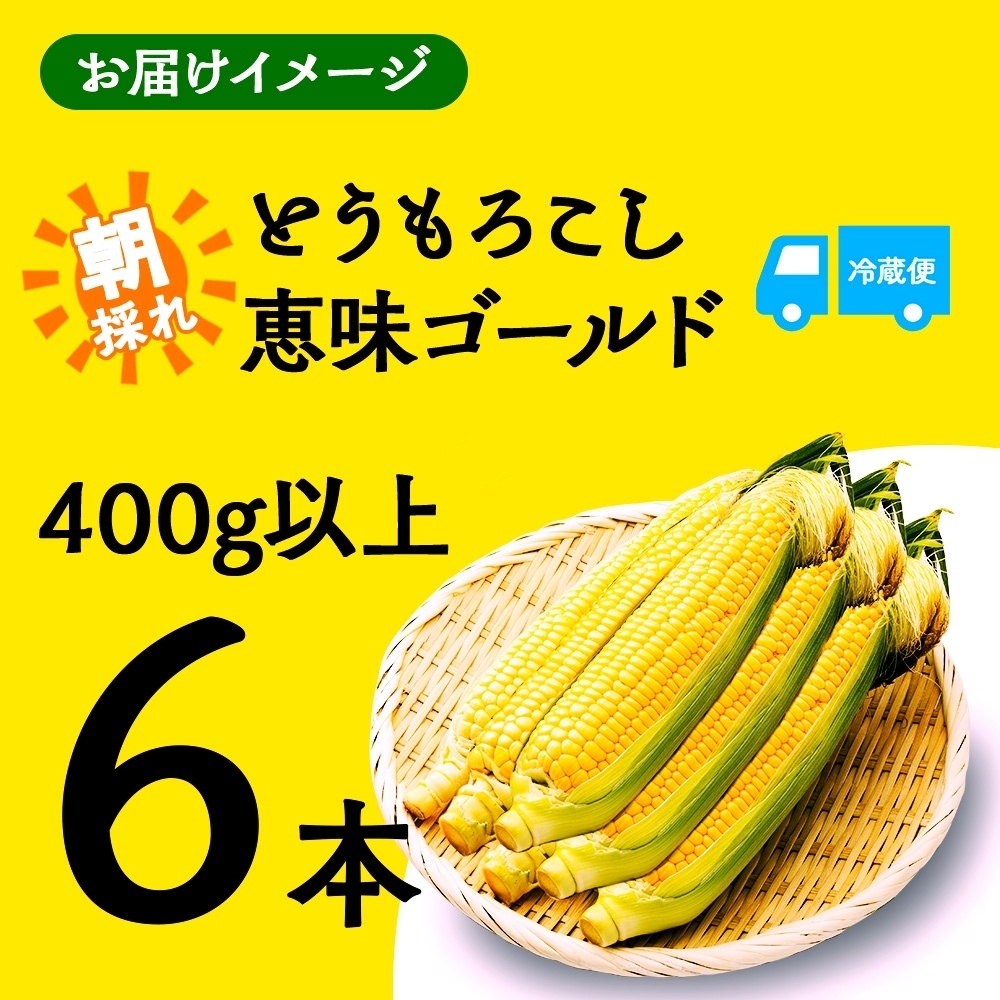 2026年発送先行予約＞とうもろこし 恵味 ゴールド 400g以上 × 6本 高