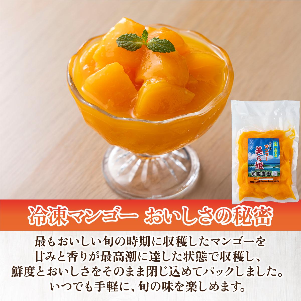 選べる容量】冷凍美ら姫マンゴー 1～2kg