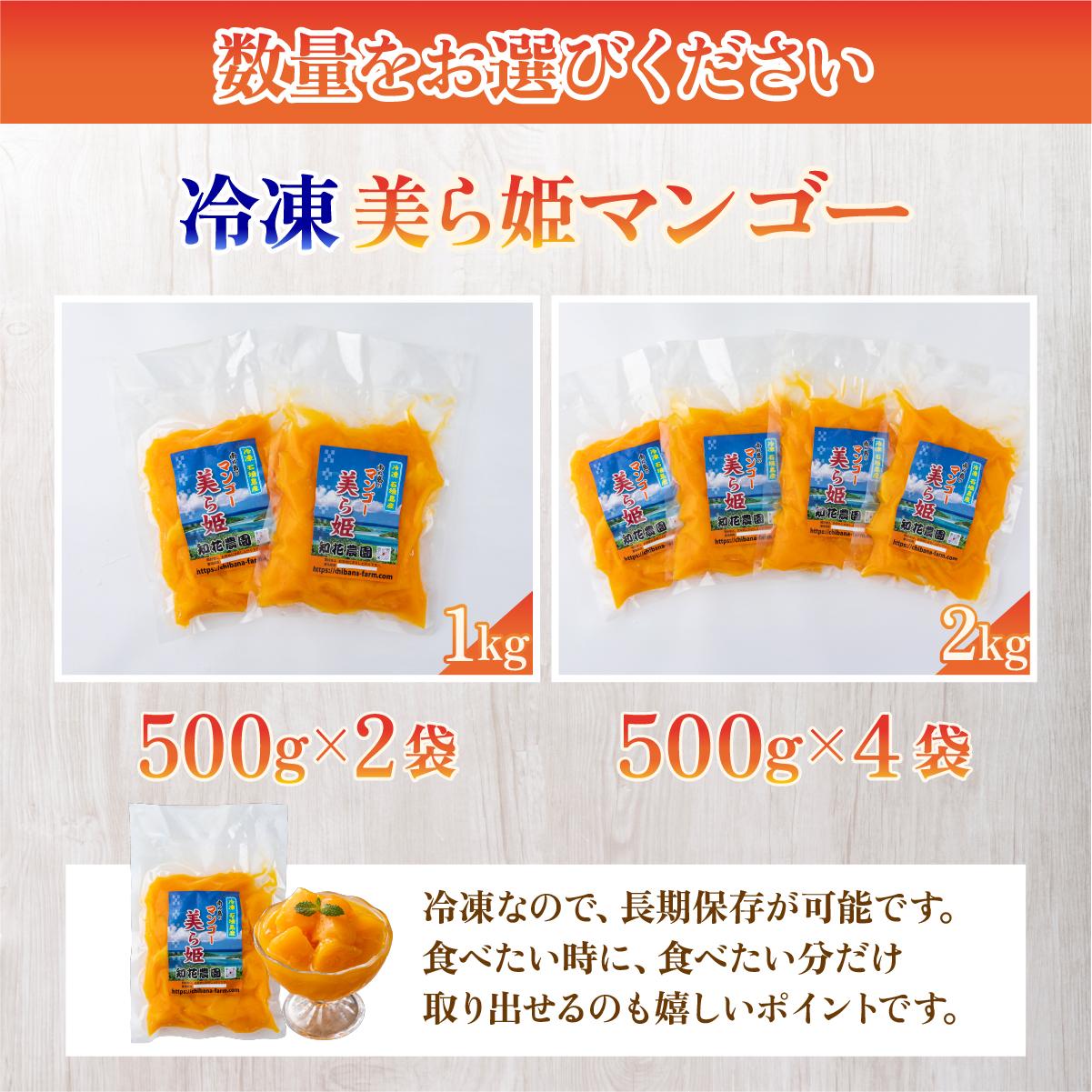 選べる容量】冷凍美ら姫マンゴー 1～2kg