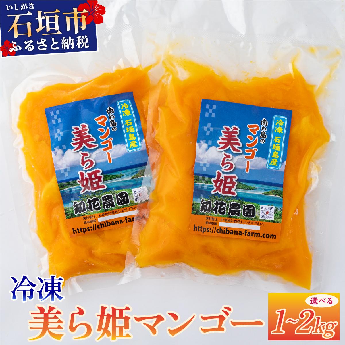 選べる容量】冷凍美ら姫マンゴー 1～2kg