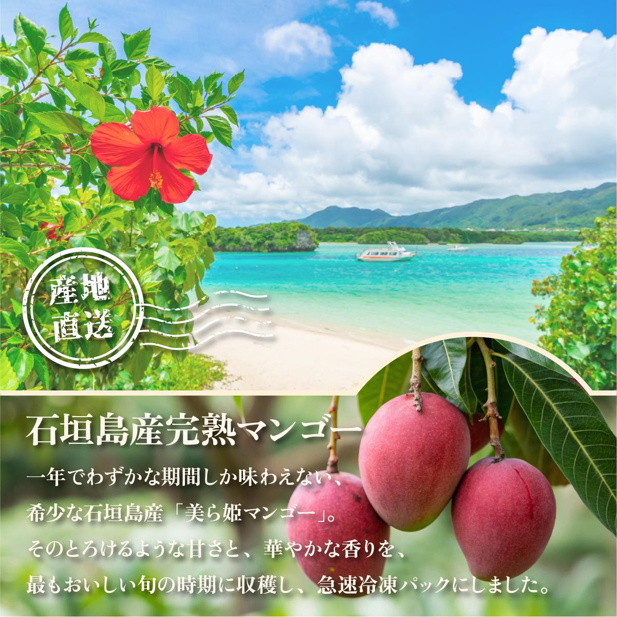 選べる容量】冷凍美ら姫マンゴー 1～2kg