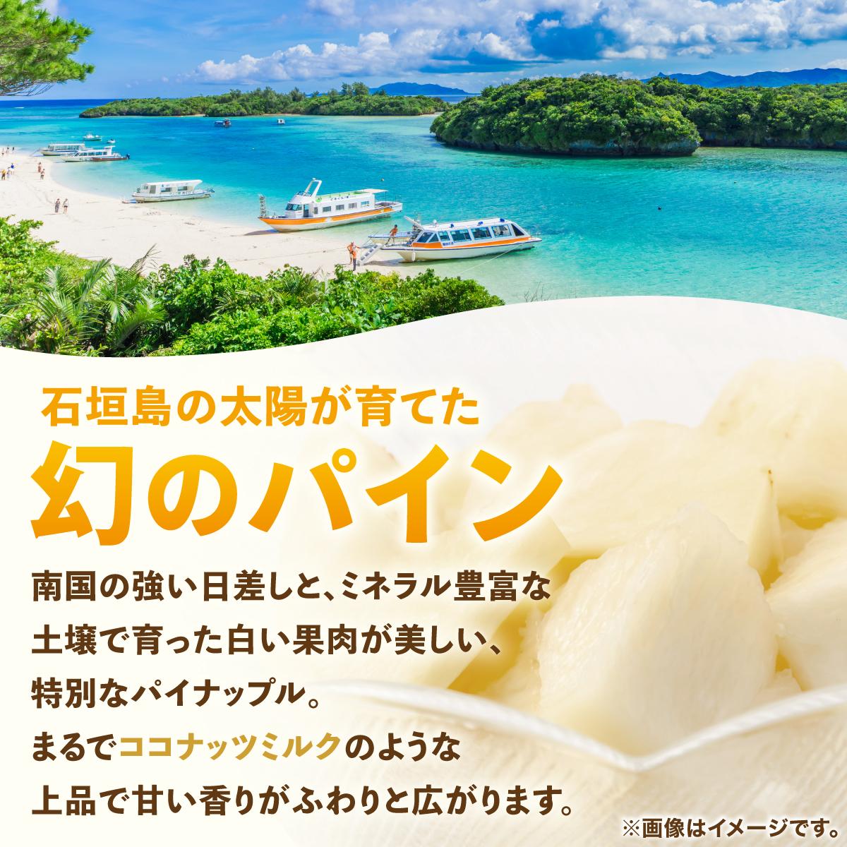 ≪6月上旬順次発送≫ 石垣島産パイナップル ホワイトココ 3玉（約3kg）