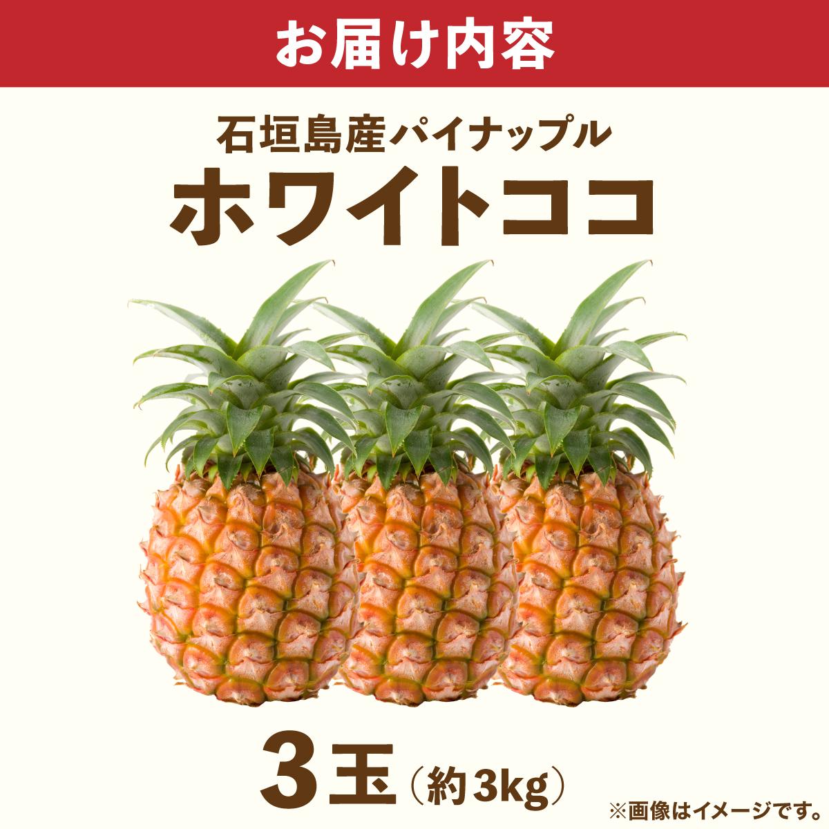 ≪6月上旬順次発送≫ 石垣島産パイナップル ホワイトココ 3玉（約3kg）
