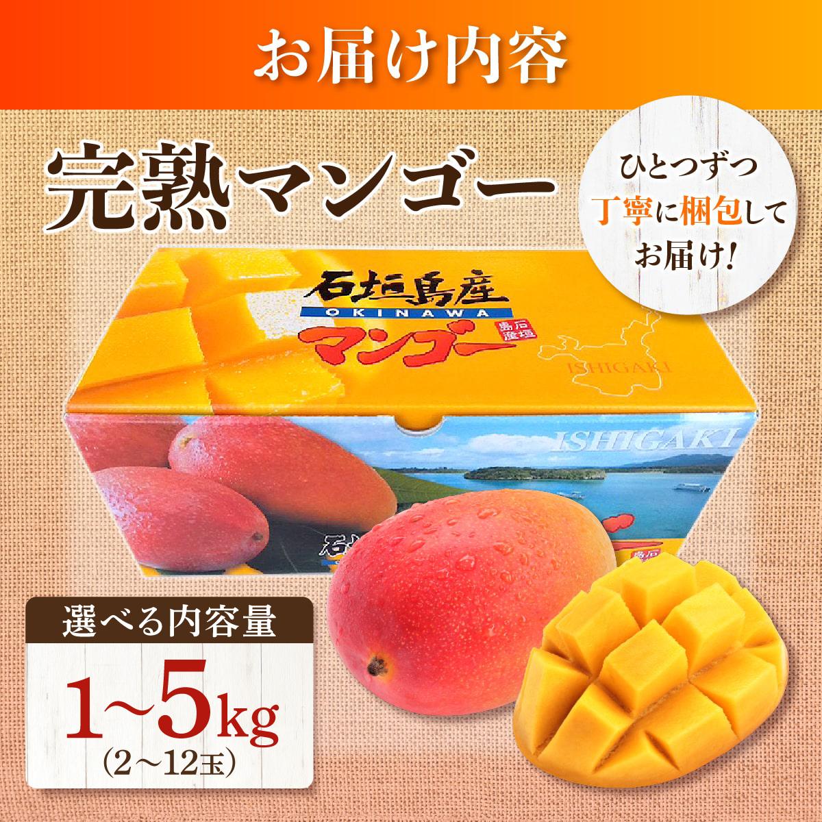 先行予約＞石垣島産マンゴー (アーウィン種) 約1～5kg | マンゴー