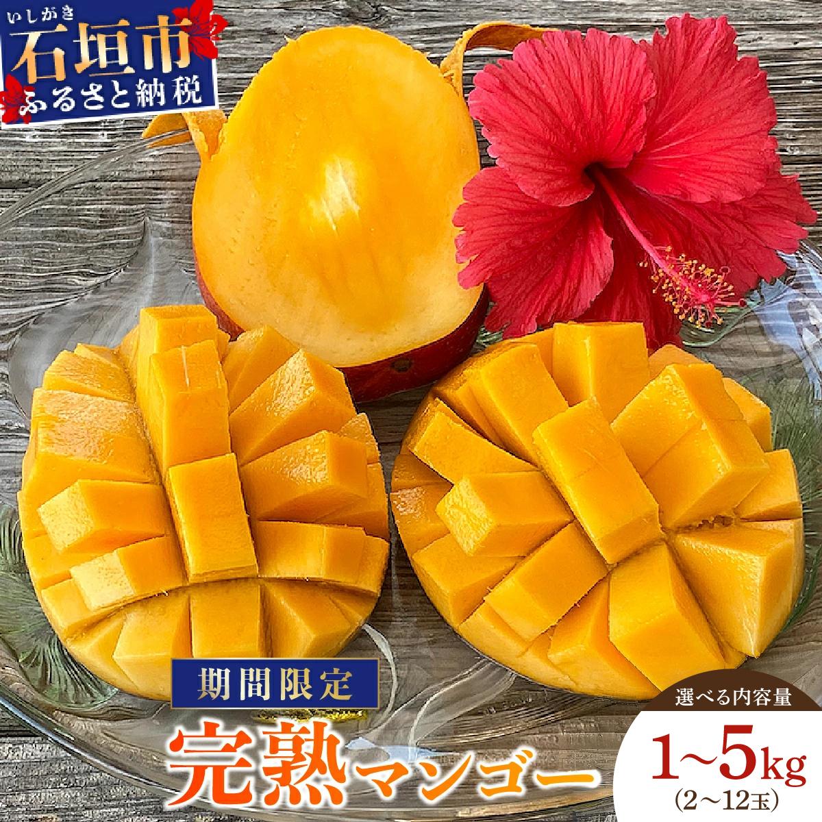 ユキー 様用4千円値下中です　❸アップルマンゴー　特選接木　半耐寒アーウィン種 ユキー 様用4値下中です ➂アップルマンゴー 特選接木 半耐寒アーウィン