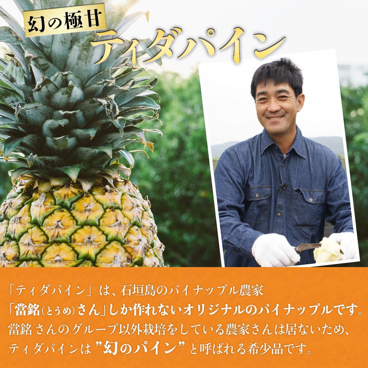 先行予約＞ 當銘さんの完熟カットパイン 1.25kg 2.5kg (250g×5・10袋