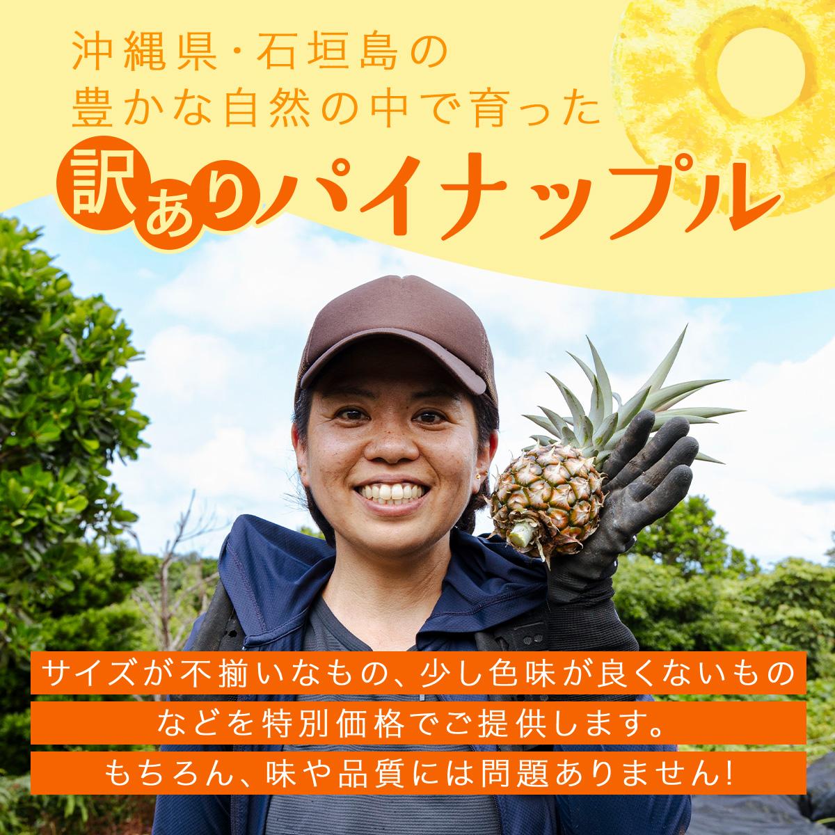 パイナップル※即購入OKです※ 2枚セット KABIRA パイナップル 訳あり ご家庭用 約3kg 4種のパインからお任せ