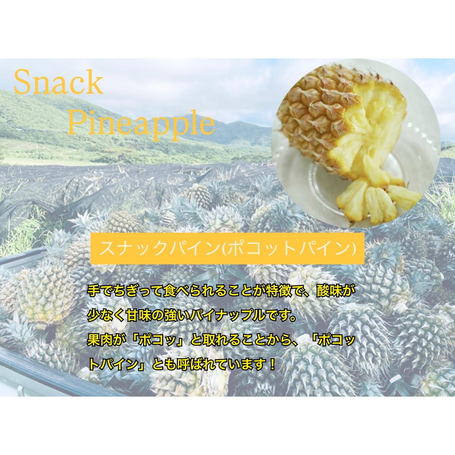 高品質スターオレンジローズクォーツパイナップルカット☆ 先行予約＞ 農家直送！石垣島産 ポコットパイン 3個セット 約3.5kg