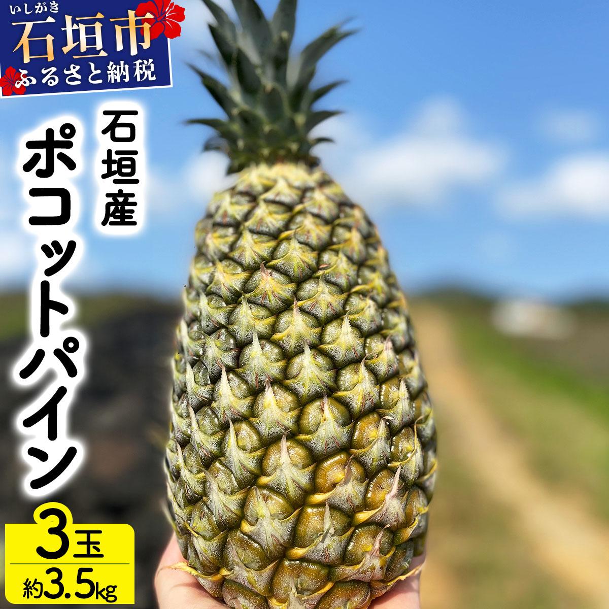 パイナップル 先行予約＞ 農家直送！石垣島産 ポコットパイン 3個セット 約3.5kg