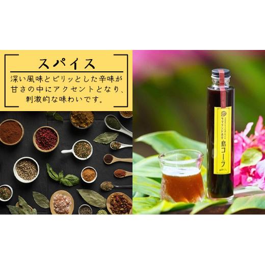 島コーラ 2本セット【沖縄県 石垣島 コーラ クラフトコーラ ハーブ