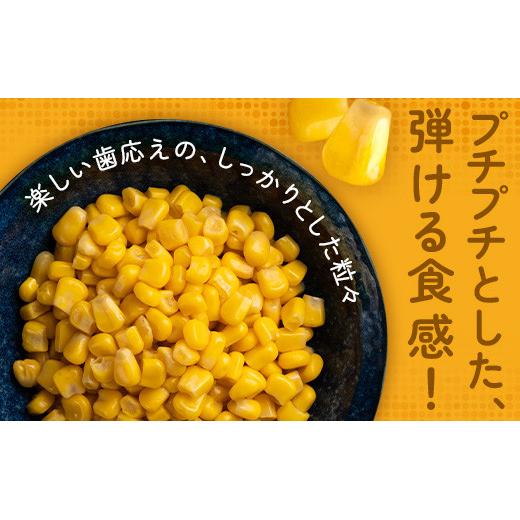 先行予約＞スイートコーン すいーとかよちゃんファームのとうもろこし