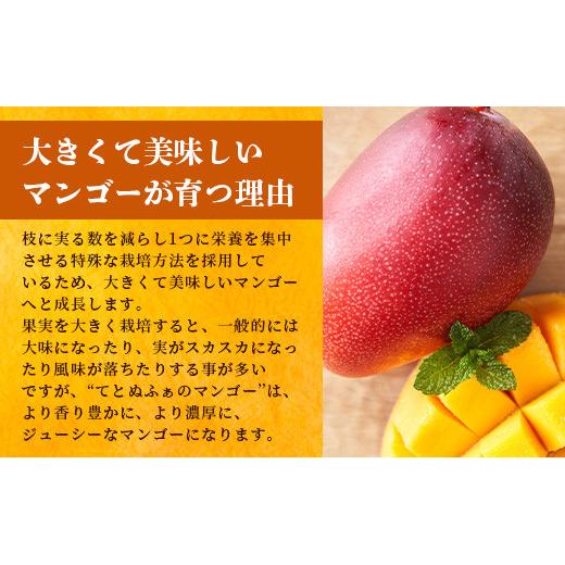 摘果マンゴー　16kg ① 2026年6月下旬～7月発送》【先行予約】最高糖度20度！？ まるで恐竜の