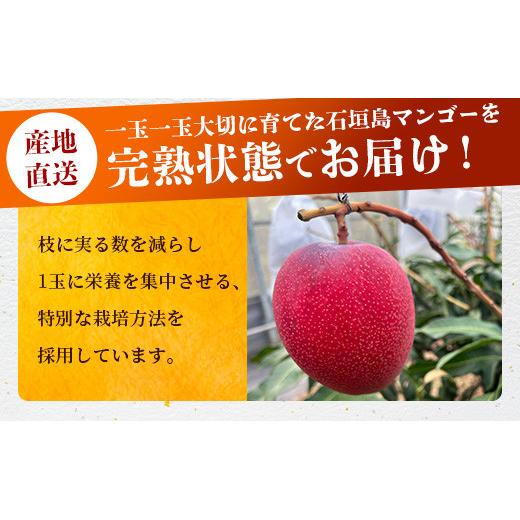 2026年6月下旬～7月発送》【先行予約】最高糖度20度！？ まるで恐竜の