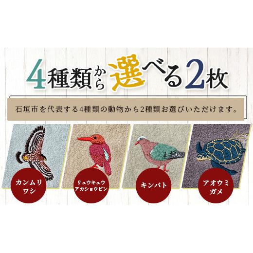 「沖縄大百科事典」上・中・下・別巻セット【美品】 4種のうちお好きな2枚をお届け!】地域の自然を守るタオル 選べる2枚