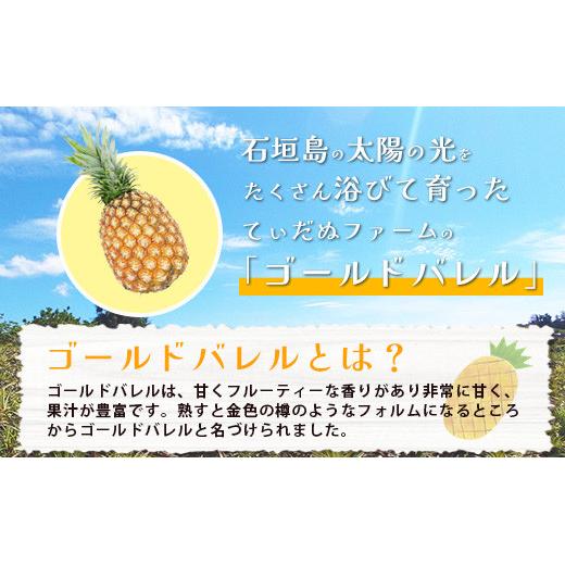先行予約】《2026年6月上旬より順次発送予定》 最高級パイン ゴールド