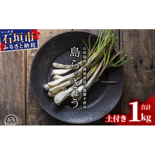先行受付】島らっきょう 生 土付き 1kg《2026年2月上旬～3月下旬発送