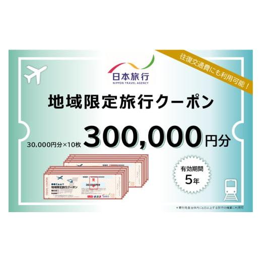 沖縄県石垣市 地域限定旅行クーポン300,000円分【 日本旅行 トラベル