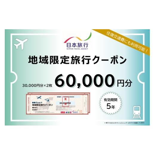 沖縄県石垣市 地域限定旅行クーポン60,000円分 【 日本旅行 トラベル