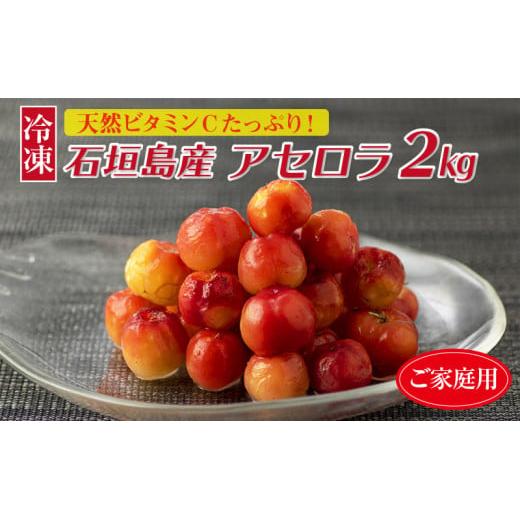 ZH-21 沖縄 石垣島産 《ご家庭用》アセロラ2㎏（冷凍）