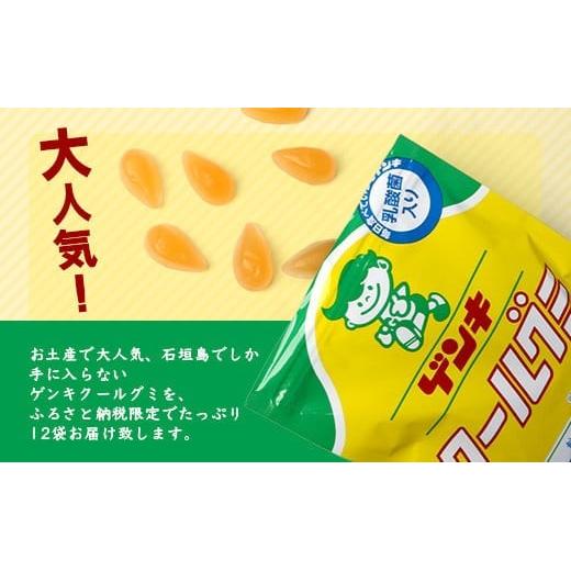 島外不出のゲンキくんグッズが返礼品に!!】八重山ご当地キャラクター