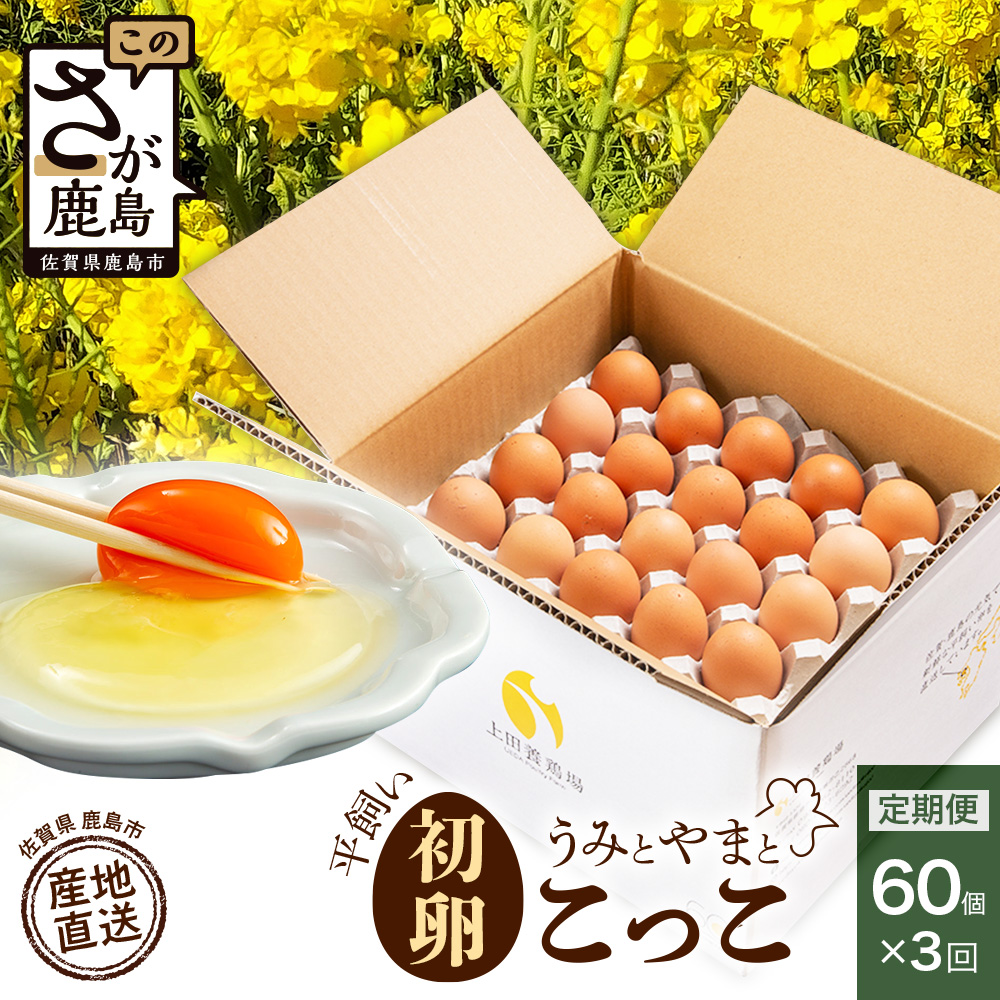 とくべつ【特設サイト特別寄附額】D-117【定期便】佐賀鹿島産 平飼い初