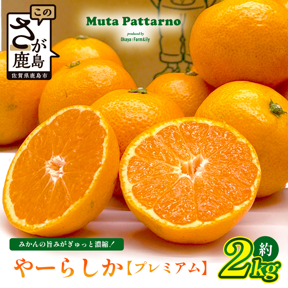 しろたミカン様 リクエスト 10点 まとめ商品 先行予約】【発送は2026年10月中旬から11月上旬ごろ】やーらしかみかん