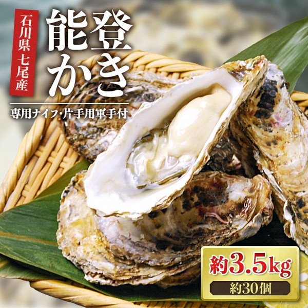能登半島地震復興支援】魚介類 牡蠣 / 能登かき 殻付 牡蠣 約3.5kg（約
