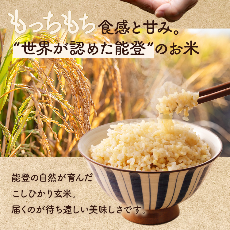 能登の里山里海が育んだ能登米30kg 能登の里山里海が育んだ能登米30kg 【公式通販】