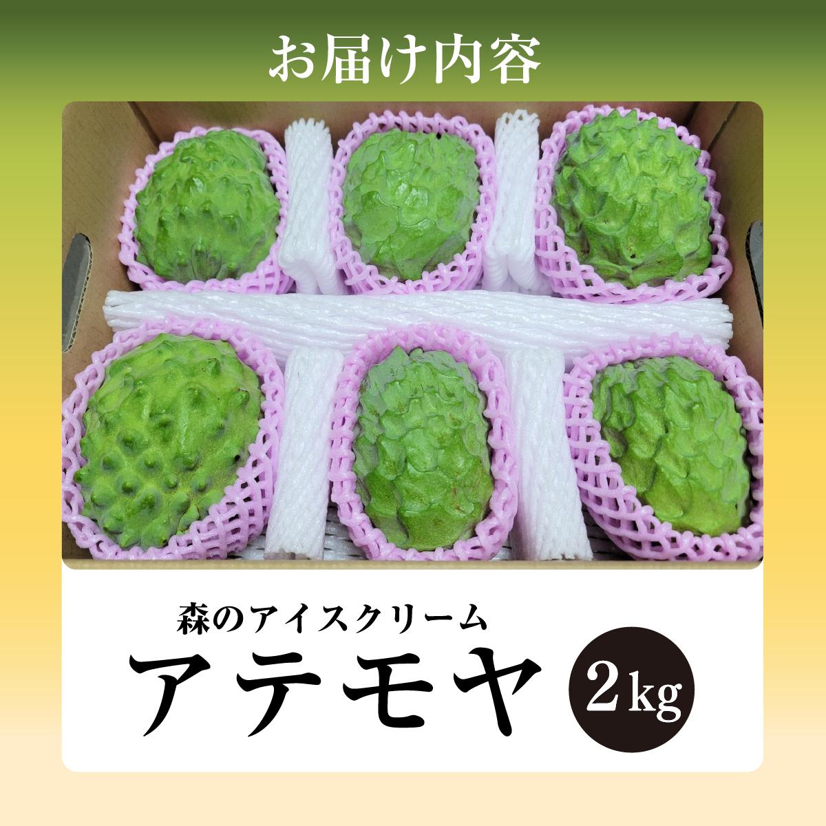 先行受付＞【数量限定】南城市で育った森のアイスクリーム：アテモヤ