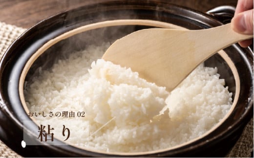 令和7年産「夢しずく」5kg