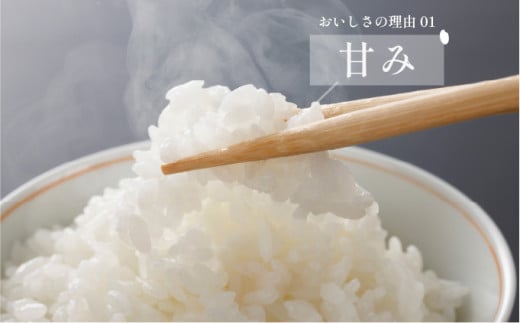 令和7年産「夢しずく」5kg