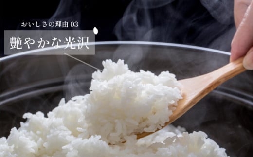 令和7年産「夢しずく」5kg