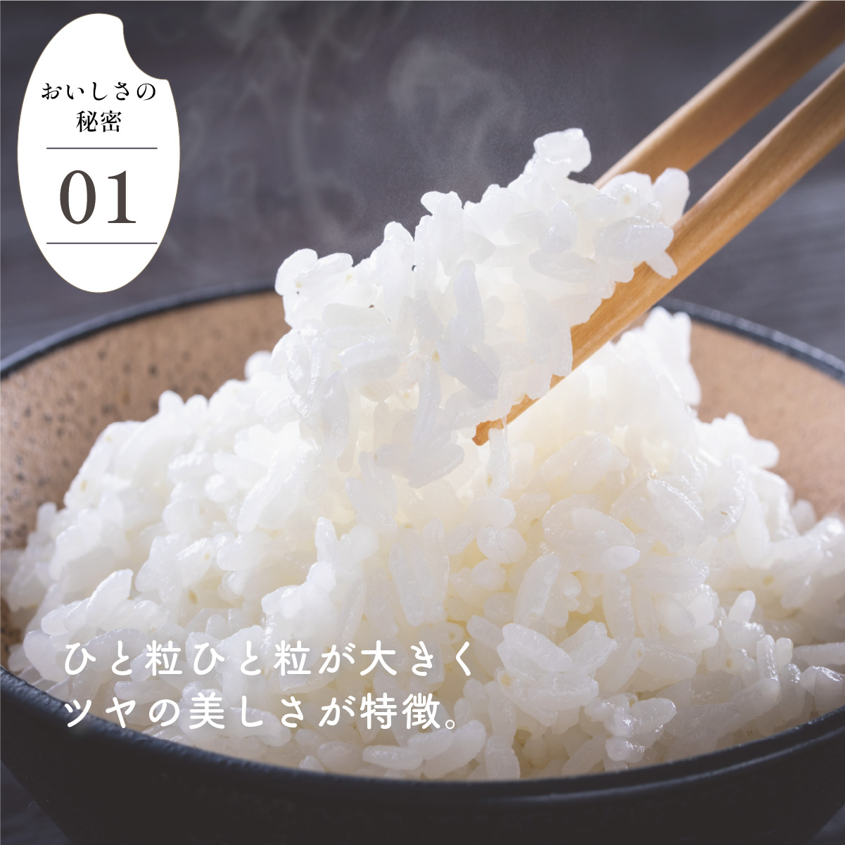 先行予約】令和7年産さがびより10kg