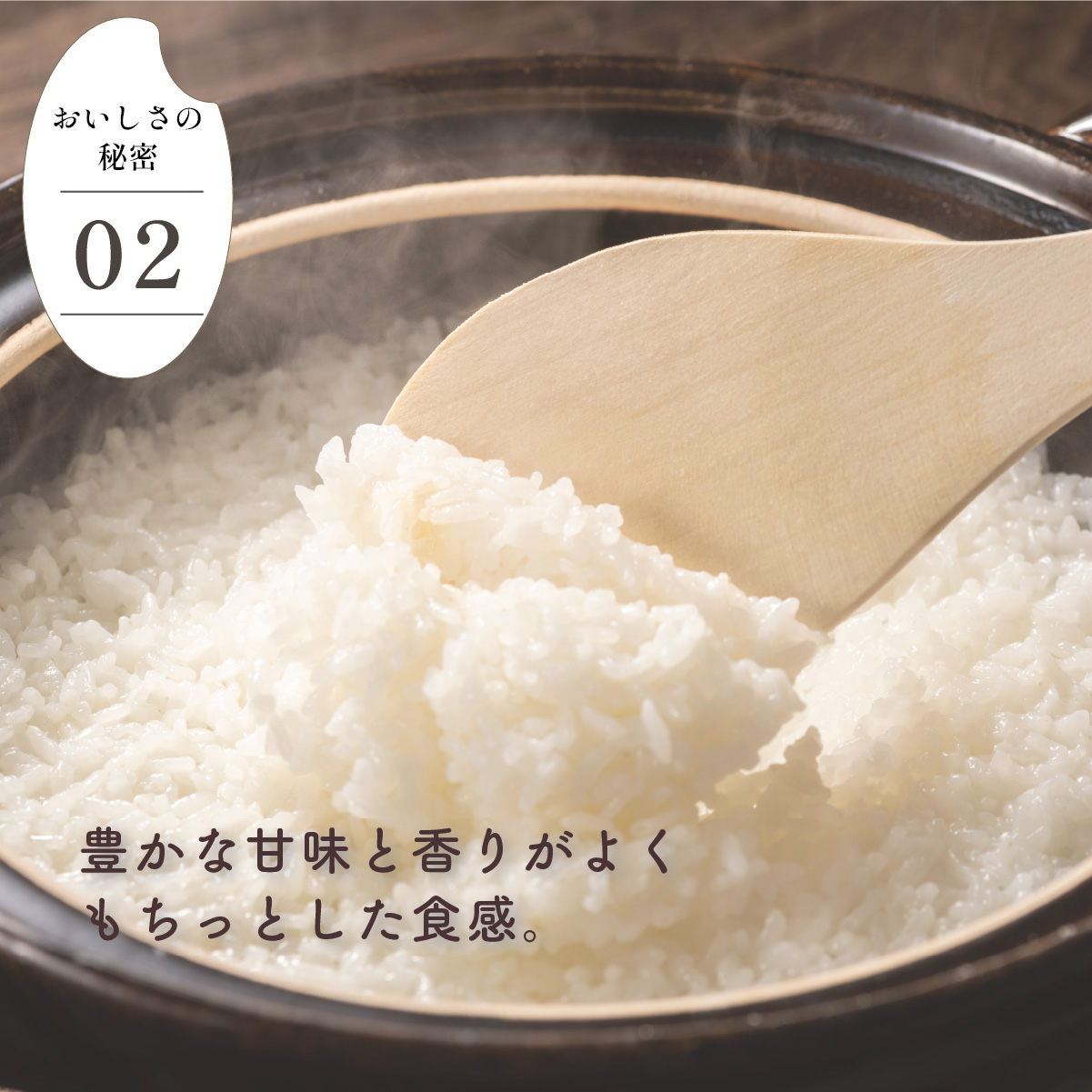 先行予約】令和7年産さがびより10kg