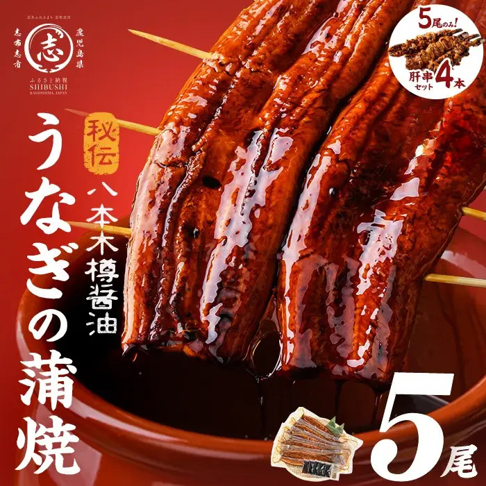 数量限定】国産 八本木樽鰻の蒲焼(160g以上×5尾) うなぎ肝串4本セット