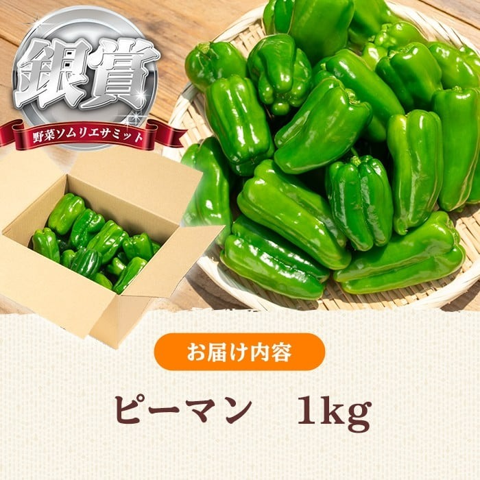 志布志産ピーマン(1kg) p8-149