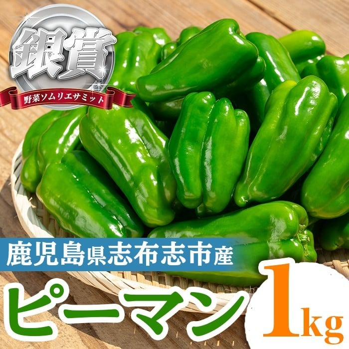 志布志産ピーマン(1kg) p8-149