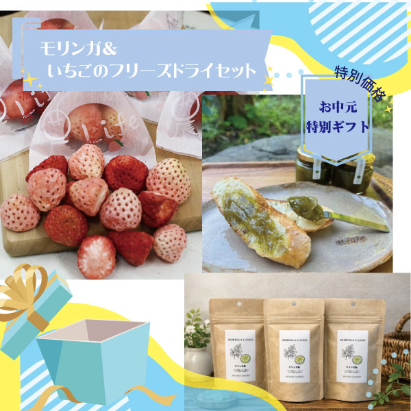 送料込】モリンガ＆いちごのフリーズドライセット